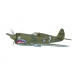 Thunder Tiger  P-40 WARHAWK OBL